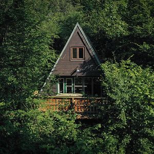 Barbuy - Natuurhuisje In Durbuy - Bar - Zwem - Ontspan